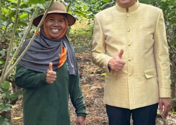 กรมหม่อนไหมหนุนเกษตกร ปลูกหม่อนเลี้ยงไหม ส่ง เอกชนกลุ่มตลาดไหมอุตสาหกรรม สร้างทางเลือกใหม่ ที่มั่นคงให้เกษตรกรเมืองชัยภูมิ มีรายได้เดือนละกว่า 90,000 บาท ต่อครัวเรือน