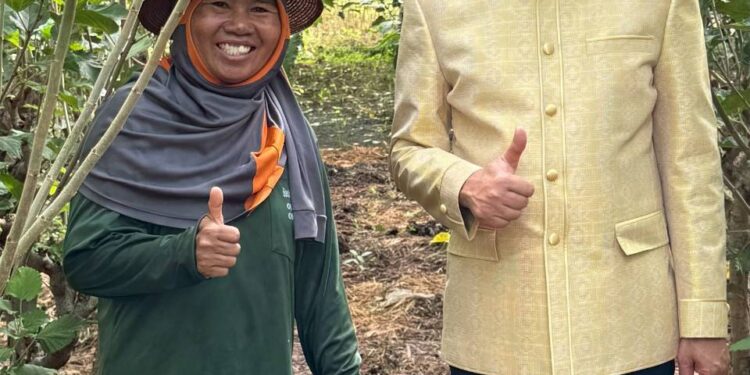 กรมหม่อนไหมหนุนเกษตกร ปลูกหม่อนเลี้ยงไหม ส่ง เอกชนกลุ่มตลาดไหมอุตสาหกรรม สร้างทางเลือกใหม่ ที่มั่นคงให้เกษตรกรเมืองชัยภูมิ มีรายได้เดือนละกว่า 90,000 บาท ต่อครัวเรือน