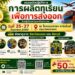 🔥 อยากส่งออกทุเรียน แต่ไม่รู้จะเริ่มตรงไหน?3 วัน ที่จะเปลี่ยนคุณจากผู้สนใจหรือผู้ปลูกทุเรียน เป็นผู้เข้าใจธุรกิจส่งออกทั้งระบบ 🌏