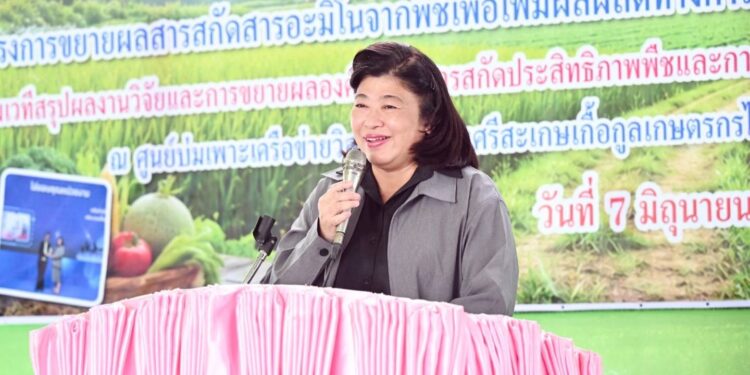 วช. ยกระดับสารอะมิโนจากพืชด้วย ววน. สนับสนุนเกษตรกรเป็น “นวัตกรต้นแบบ” นำภูมิปัญญาท้องถิ่นสู่สร้างความเชื่อมั่นและความเข้มแข็งของเศรษฐกิจฐานรากด้วยวิจัยและนวัตกรรม ณ จ.ศรีสะเกษ