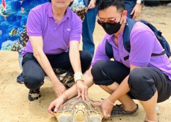 โค้งสุดท้าย! ชี้ชะตาประกันสังคม “ดร.ธัชพล” นำทีม 7 เซียน เปิด 6 นโยบายทะลวงหนี้-เติมสภาพคล่อง ธุรกิจรอด ลูกจ้างโต!